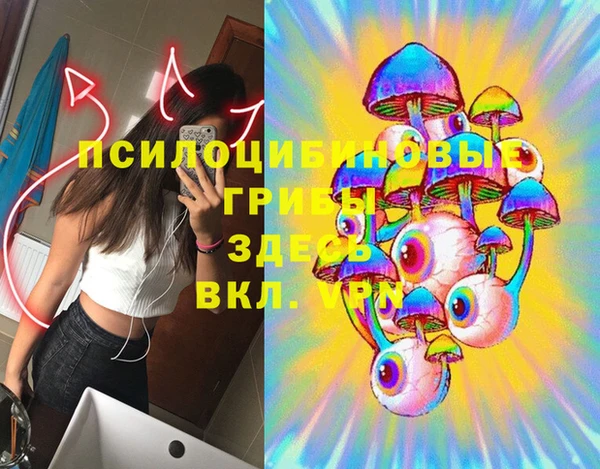 бутират Баксан