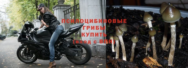 бутират Баксан