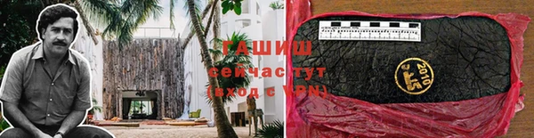 молекула духа Балахна