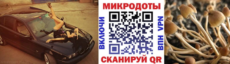 Псилоцибиновые грибы Psilocybe  дарнет шоп  Бикин 